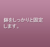 鉢をしっかりと固定します。