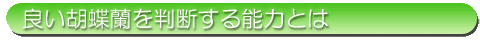 良い胡蝶蘭を判断する能力