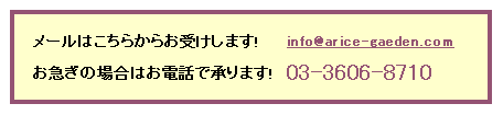 メール・お電話のご連絡先