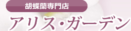 トップページへ戻る