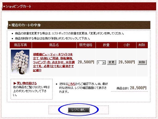 レジに進むボタンをクリックします。