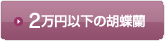 2万円以下の胡蝶蘭