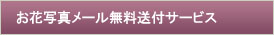 お花写真無料送付サービス
