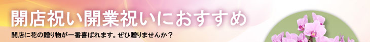 開店祝いにおすすめ