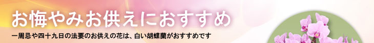 四十九日・一周忌におすすめ