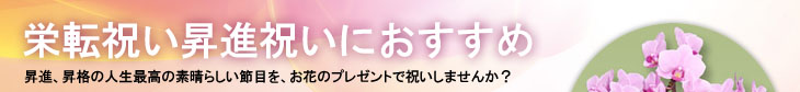 昇進祝い栄転祝いにおすすめ