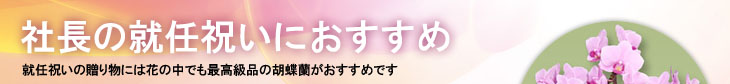 社長就任のお祝い
