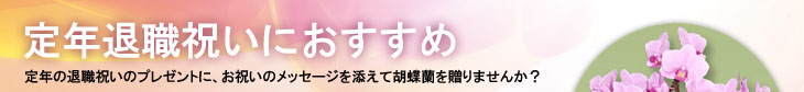 定年退職におすすめ