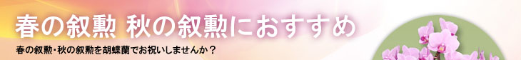 叙勲におすすめ
