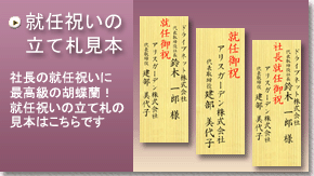 就任のお祝いにおすすめの花はこちらの胡蝶蘭です