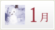 胡蝶蘭の１月の育て方