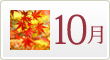 胡蝶蘭の１０月の育て方