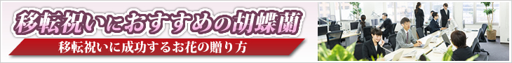 移転祝いに竣工のお祝いに厳選された花を贈りたい　