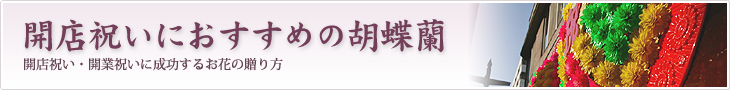 開店祝いに厳選された花を贈りたい