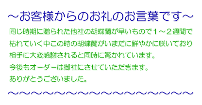 お客様からのお礼のお言葉です
