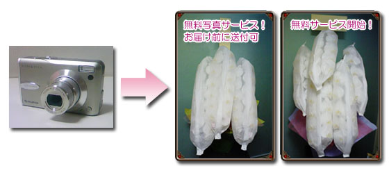 洋蘭をデジタル撮影