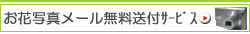お花写真メール無料送付サービス