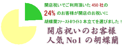 弁護士の開業のお祝いにおすすめの花はこちらです