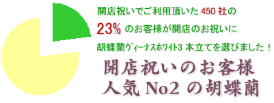 大切な取引先の開店祝いにおすすめのお花はこちらです