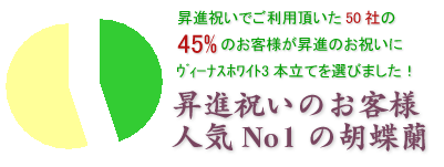 昇進祝いに最高の贈り物・胡蝶蘭