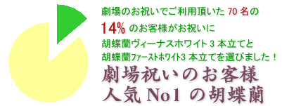 胡蝶蘭ヴィーナスホワイト3本立てはこちらです