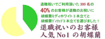 胡蝶蘭ミディホワイト３本立てはこちらです