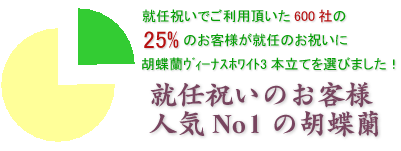 社長就任のお祝いにおすすめの胡蝶蘭ヴィーナスホワイト3本立てはこちらです