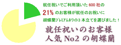 社長就任のお祝いにおすすめの胡蝶蘭プレミアムホワイト3本立てはこちらです