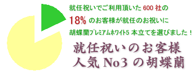 社長就任のお祝いにおすすめの胡蝶蘭プレミアムホワイト5本立てはこちらです