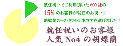 社長就任のお祝いにおすすめの胡蝶蘭プレミアムリップ3本立てはこちらです
