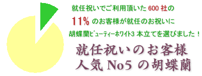社長就任のお祝いにおすすめの胡蝶蘭プレミアムホワイト7本立てはこちらです