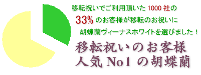 会社の移転祝いにおすすめのヴィーナスホワイト3本立てはこちらです