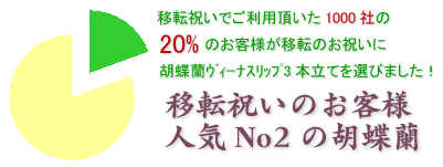会社の移転祝いにおすすめの胡蝶蘭ファーストリップ3本立てはこちらです