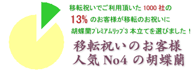 会社の移転祝いにおすすめの胡蝶蘭プレミアムリップ3本立てはこちらです