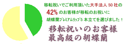 会社の移転祝いにおすすめの胡蝶蘭プレミアムリップ5本立てはこちらです