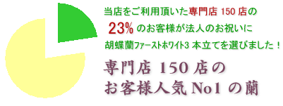 開店祝いにおすすめの胡蝶蘭ファーストホワイト3本立てはこちらです