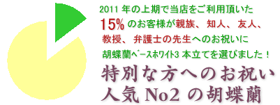 お祝いにおすすめの胡蝶蘭ベースホワイト3本立て