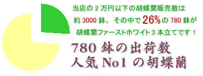 開店祝いにおすすめの胡蝶蘭ファーストホワイト3本立てはこちらです