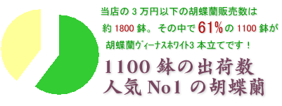 会社の移転のお祝いにおすすめのヴィーナスホワイト3本立てはこちらです