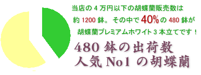 会社の移転のお祝いにおすすめのヴィーナスホワイト3本立てはこちらです
