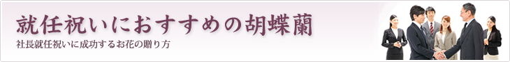 就任のお祝いや社長就任祝いに厳選された花を贈りたい