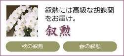 叙勲には高級な胡蝶蘭をお届け。 叙勲