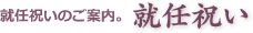 就任のお祝いにおすすめの胡蝶蘭