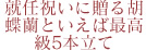 就任のお祝いに贈る胡蝶蘭といえば最高級5本立て