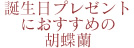 誕生日プレゼントにおすすめの胡蝶蘭