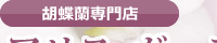 胡蝶蘭専門店　アリス・ガーデン