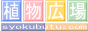移転祝い