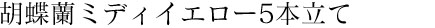 胡蝶蘭ミディイエロー5本立て