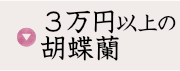 価格：3万円以上の商品