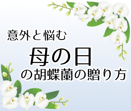 誰も教えてくれない  移転祝いのお花の贈り方